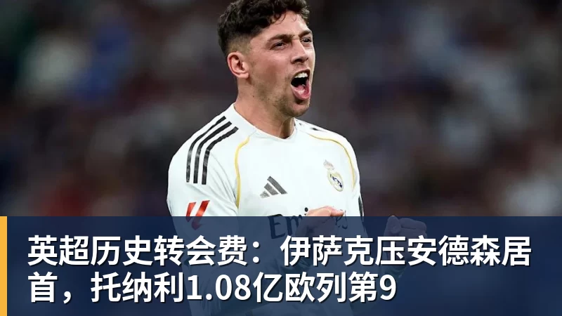 尊龙凯时英超历史转会费:伊萨克压安德森居首,托纳利1.08亿欧列第9