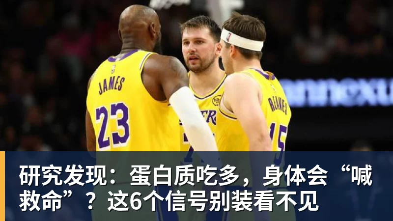 研究发现:蛋白质吃多,身体会“喊救命”?这6个信号别装看不见