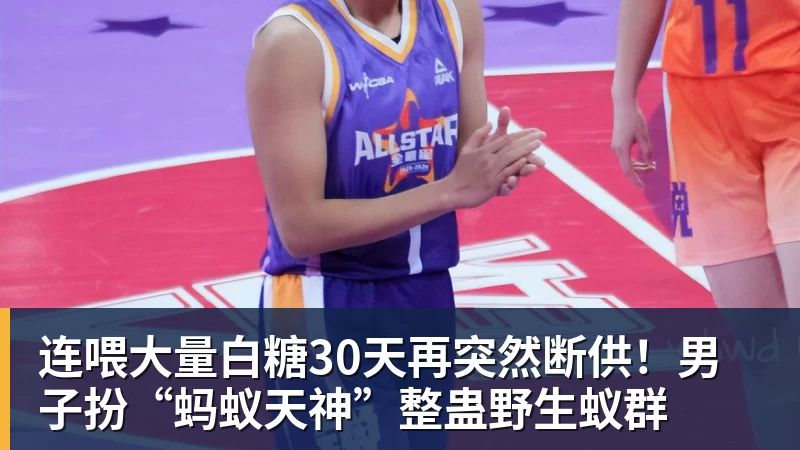连喂大量白糖30天再突然断供!男子扮“蚂蚁天神”整蛊野生蚁群